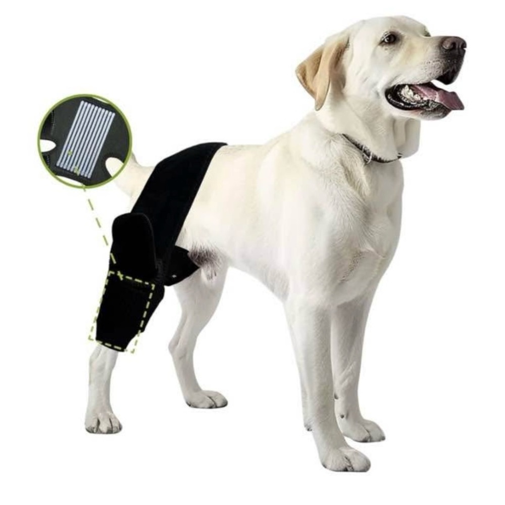 Dog Knee Brace Support - Black XL